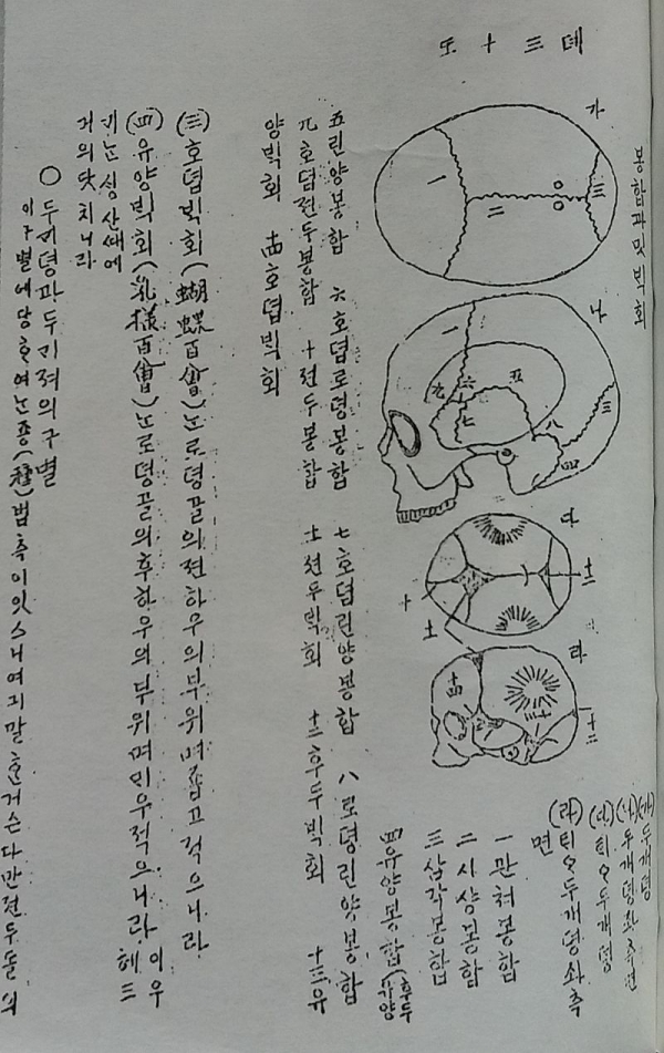 김필순이 학창시절 작성한 해부학 교과서